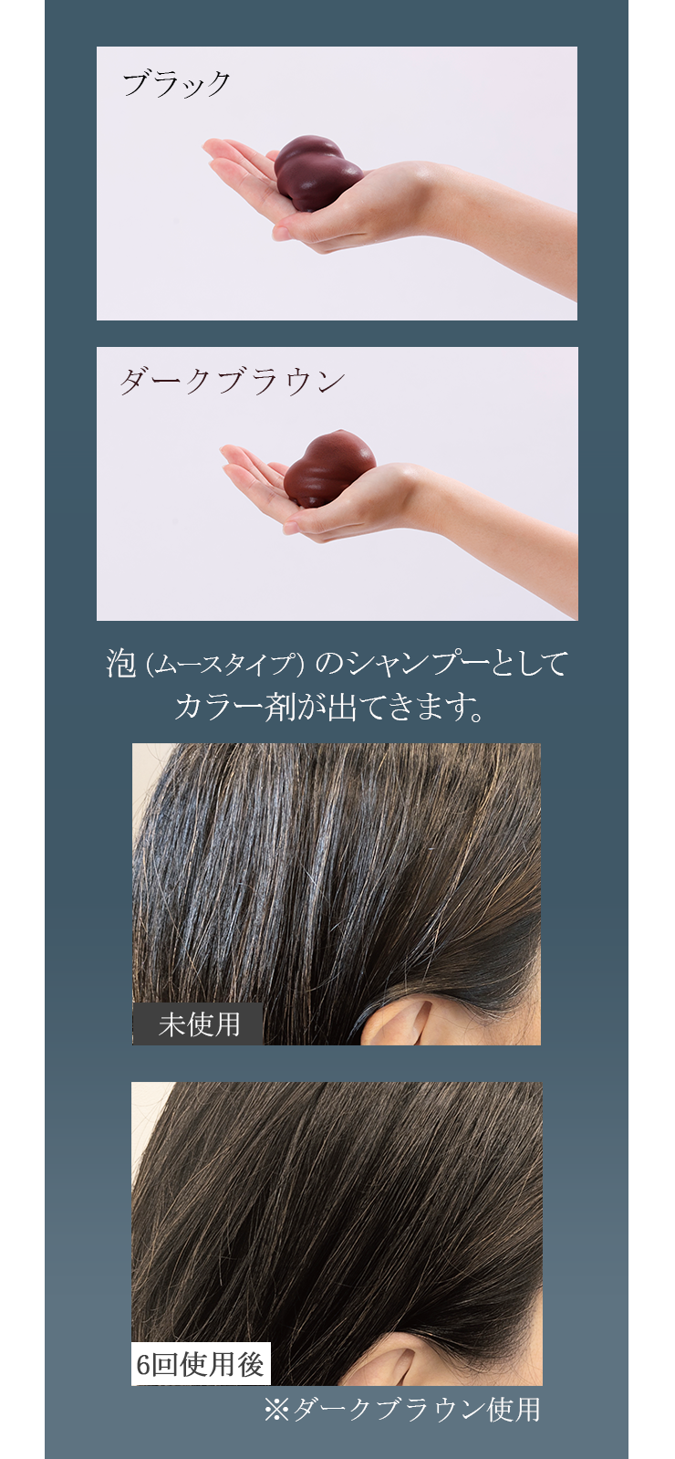 Mlle color カラーシャンプー 350g×4パック（ダークブラウン） Mlle color カラーシャンプー 350g×4パック（ダークブラウン