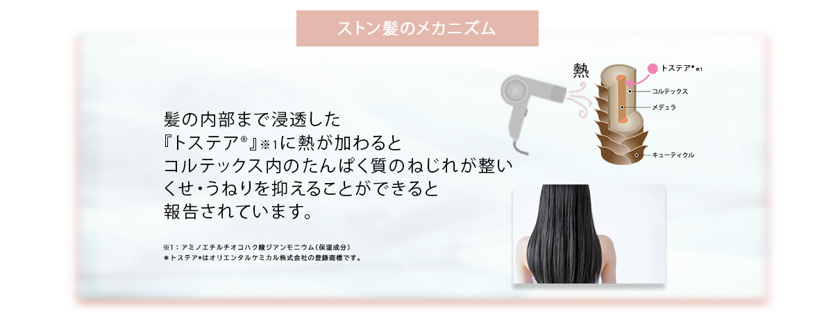 ストン髪のメカニズム 髪の内部まで浸透した『トステア®』※1に熱が加わるとコルテックス内のたんぱく質のねじれが整いくせ・うねりを抑えることができると報告されています。
